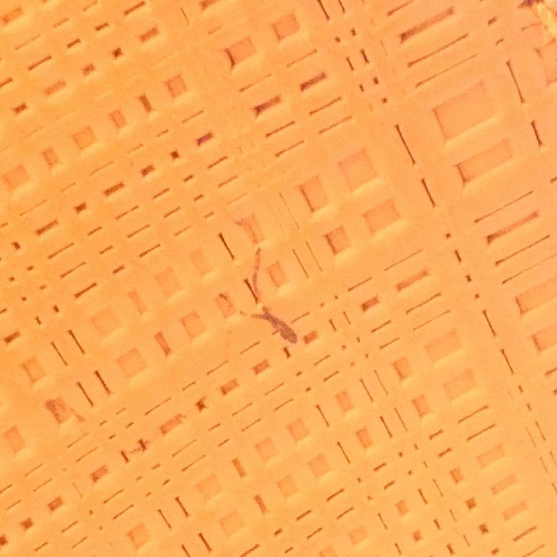 Túi đeo vai Loewe - Hàng hiệu Authentic 776489