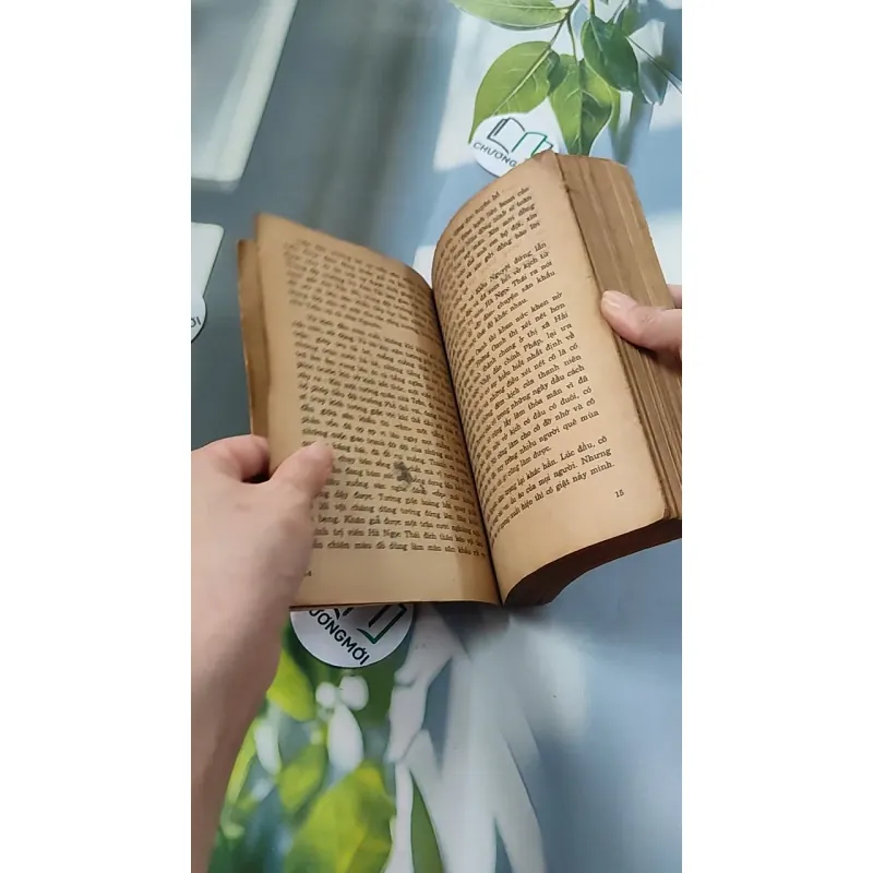 [XƯA] Quãng Đời Xưa In Bóng (1990) - Dũng Hà 776083