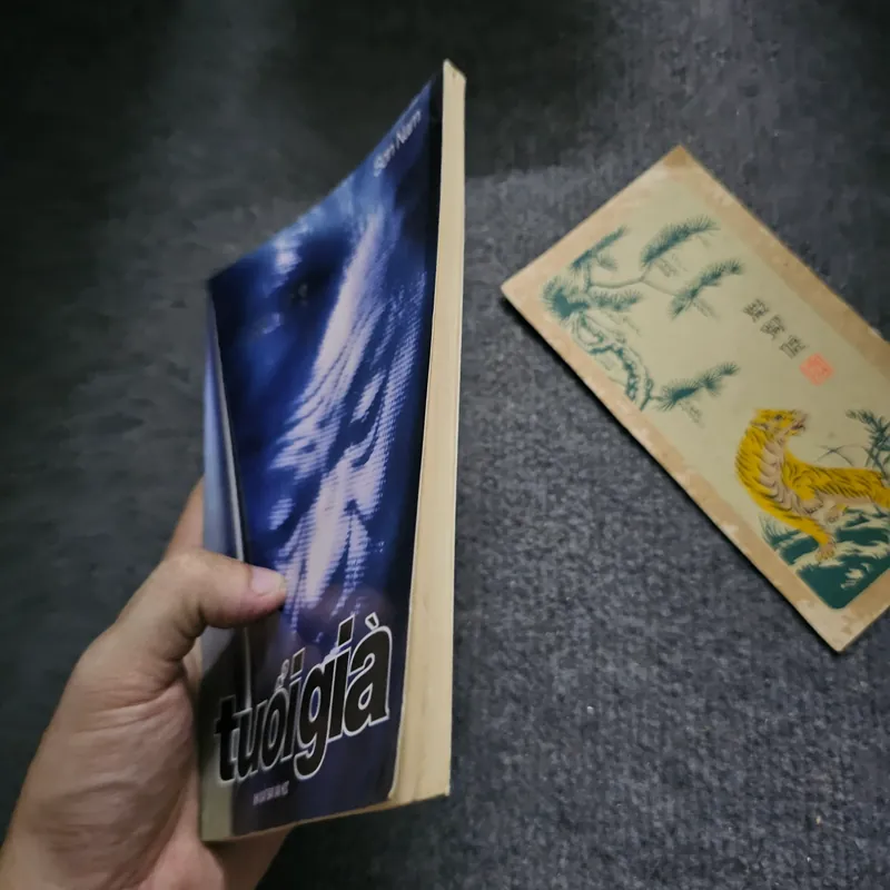 Tuổi già - Sơn Nam 734909