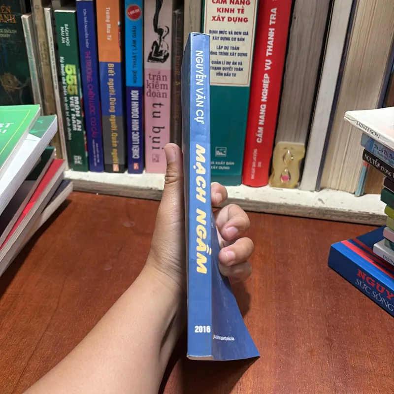 II Tiểu Thuyết: Mạch Ngầm - Nguyễn Văn Cự - 2016 786216