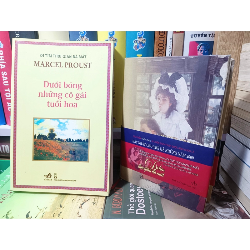 Dưới bóng những cô gái tuổi hoa (Marcel Proust) 201620