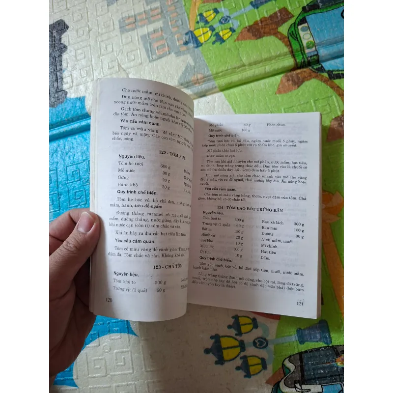 555 Món Ăn Việt Nam 973505