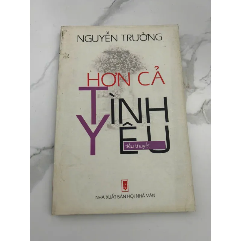 Hơn Cả Tình Yêu – Tiểu Thuyết – Tác giả: Nguyễn Trường 601162