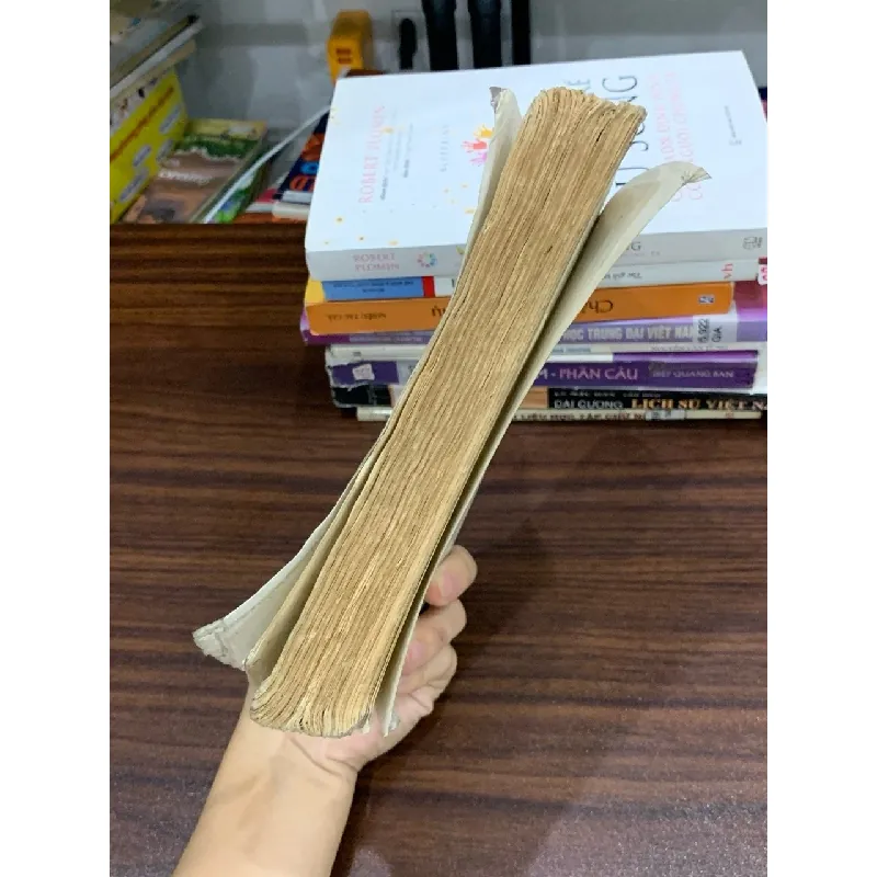 Truyện ngắn chọn lọc – (Tuyển chọn, nhiều tác giả) 589489