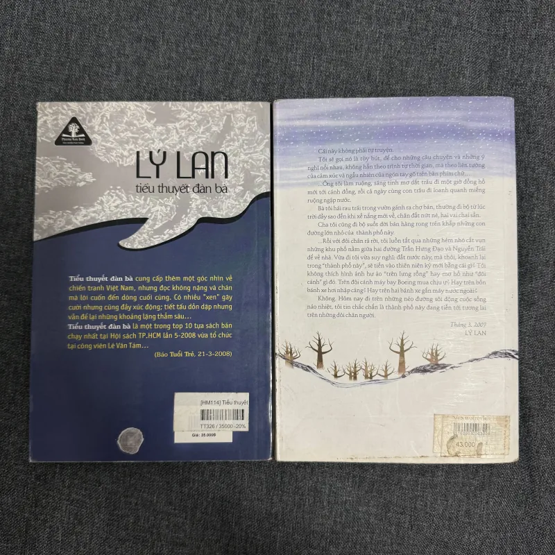 Tiểu thuyết đàn bà, Miên man tùy bút - Lý Lan 754577