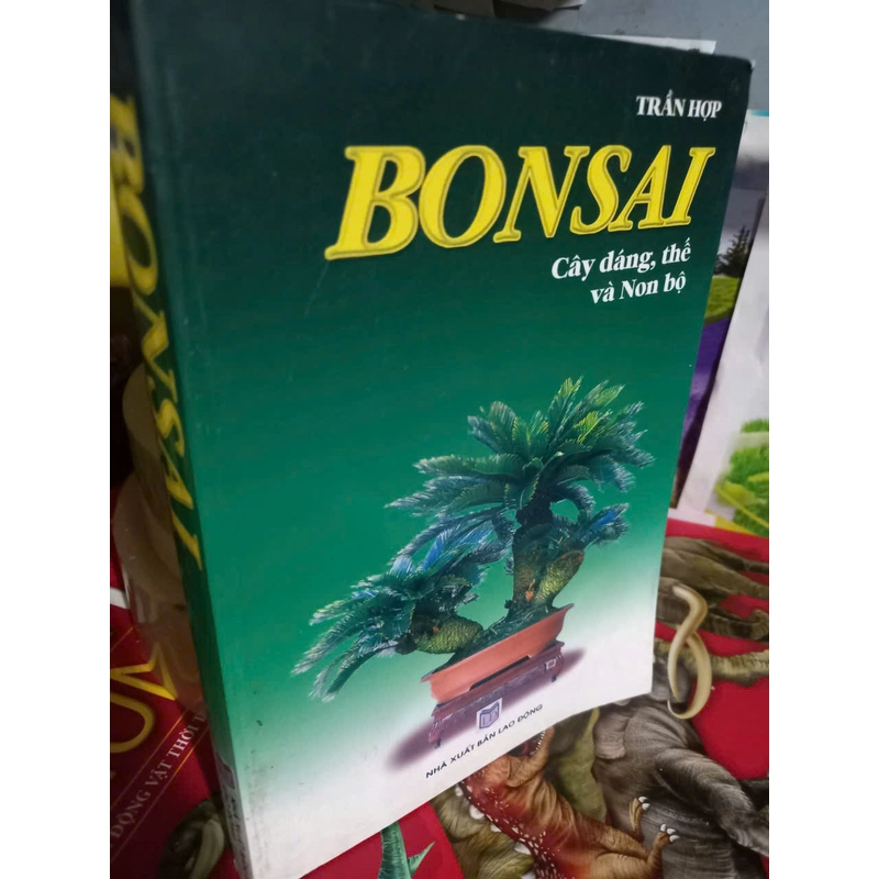 bonsai cây dáng non bộ 527296