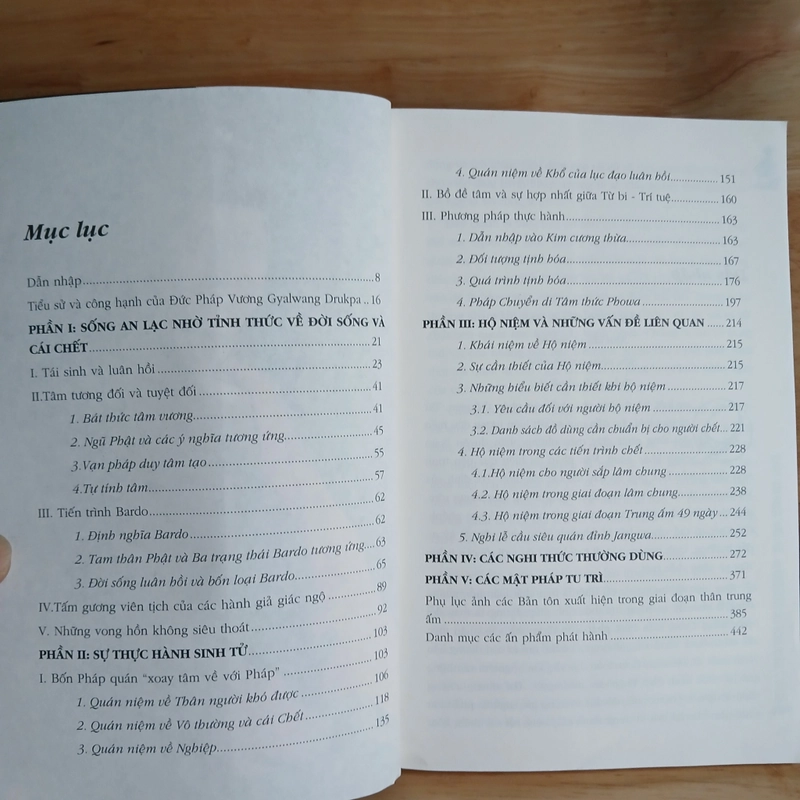 BARDO Hành Trình Liễu Sinh Thoát Tử - Drukpa Việt Nam 461365