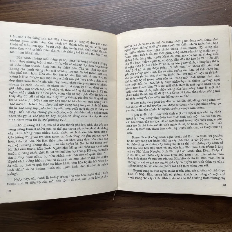 Bonsai 🌿🌿 961565