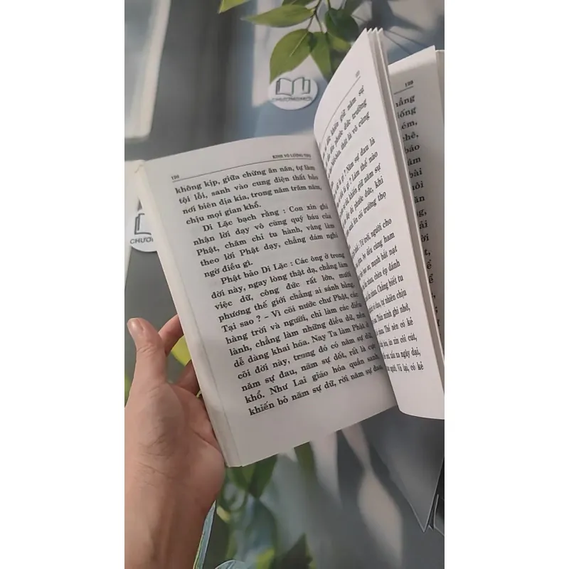 Kinh Vô Lượng Thọ - Thích Tuệ Đăng (Dịch) 928502