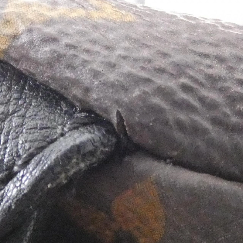 Balo Louis Vuitton Monogram Palm Springs PM M44871 609368