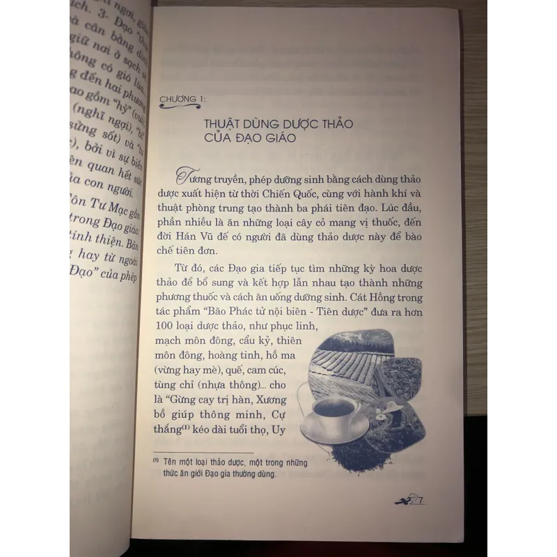 Văn hoá dưỡng sinh trong đạo giáo  737036