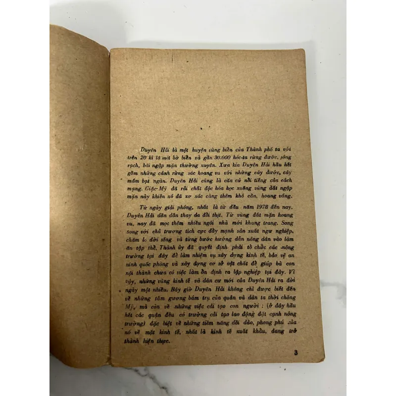 Thị trấn giữa rừng Sác - Trần Thanh Giao 781100