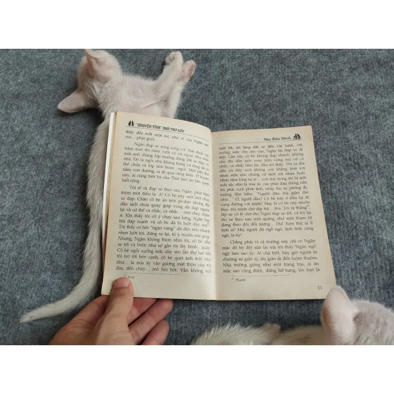 "CHUYỆN TÌNH" NHÀ THƠ LỚP - MAI BỬU MINH 567793