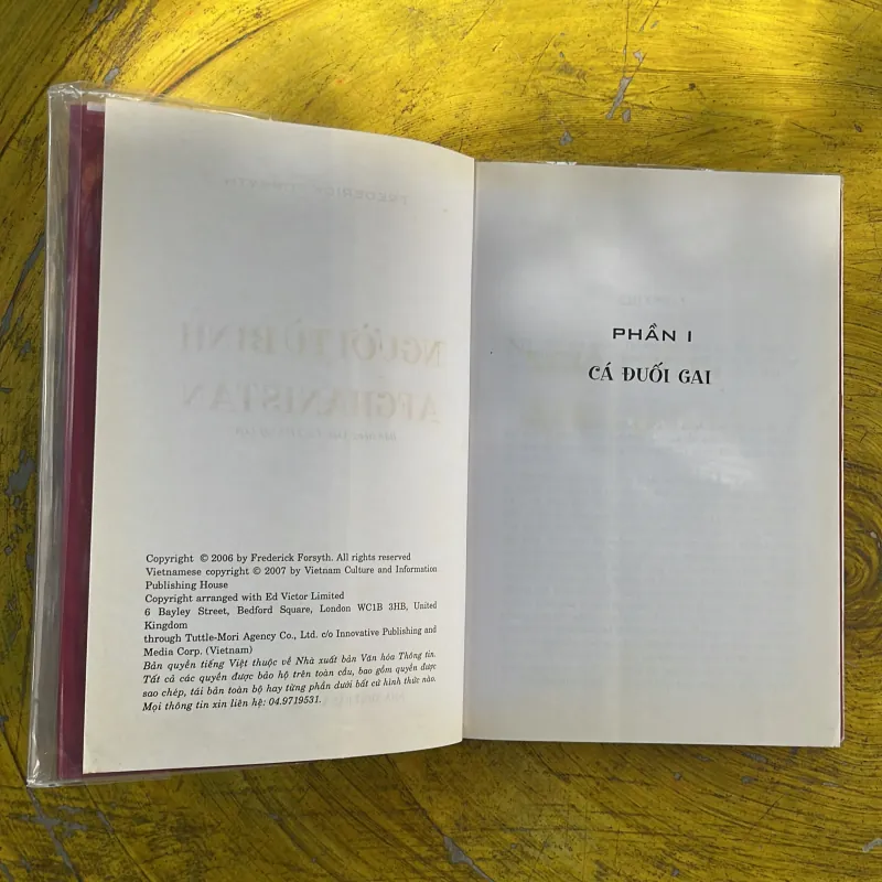 NGƯỜI TÙ BINH AFGHANISTAN - FREDERICK FORSYTH 996980