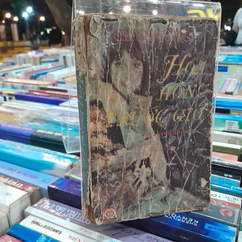 HOA HỒNG TRƯỚC GIÓ - QUỲNH NHƯ 760901