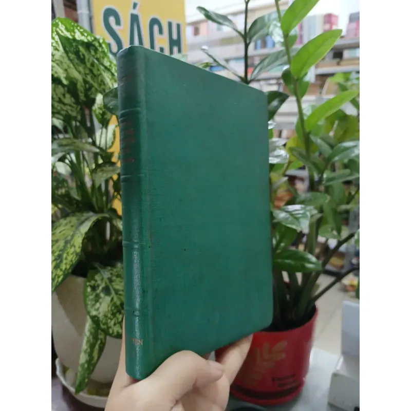 TÌNH SỬ DƯƠNG QUÝ PHI ĐƯỜNG MINH HOÀNG - TRẦN TUẤN KIỆT 733830