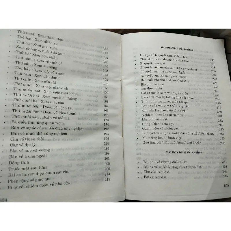 Mai hoa dịch số 996600