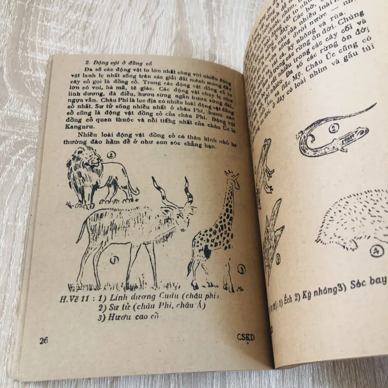 CUỘC SỐNG KỲ DIỆU  928975