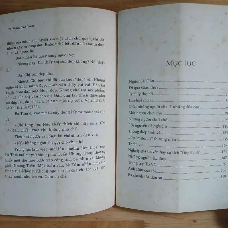 Người Sài Gòn (Tập Truyện Ngắn) - Hoàng Đình Quang 675128