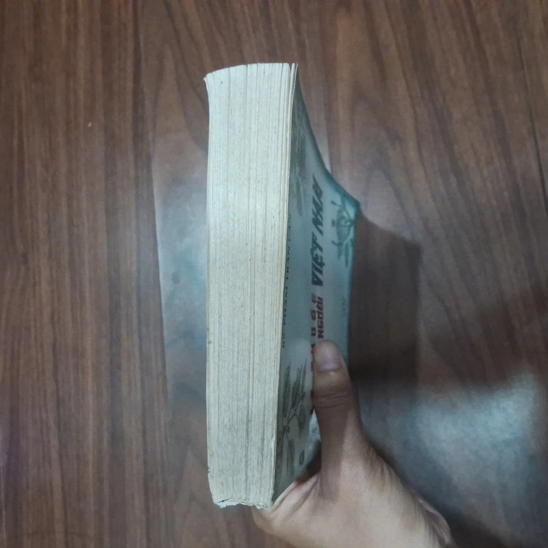 Cây thuốc Việt Nam chữa bệnh người Việt Nam 545600