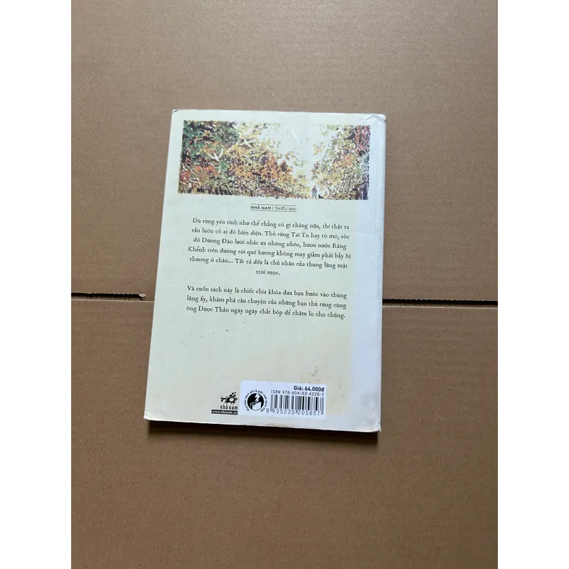 Những người bạn ở thung lũng mặt trời mọc 734288