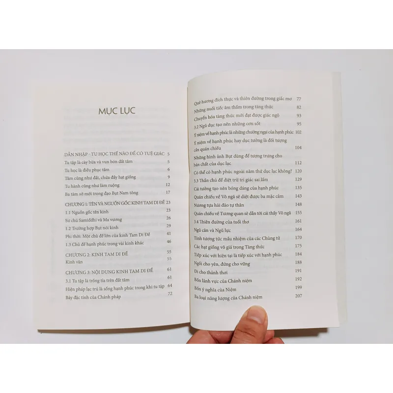 Hạnh Phúc Mộng Và Thực - Thích Nhất Hạnh 739746