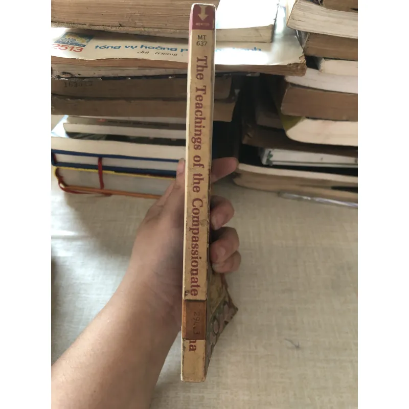 The compassionate Buddha 976049