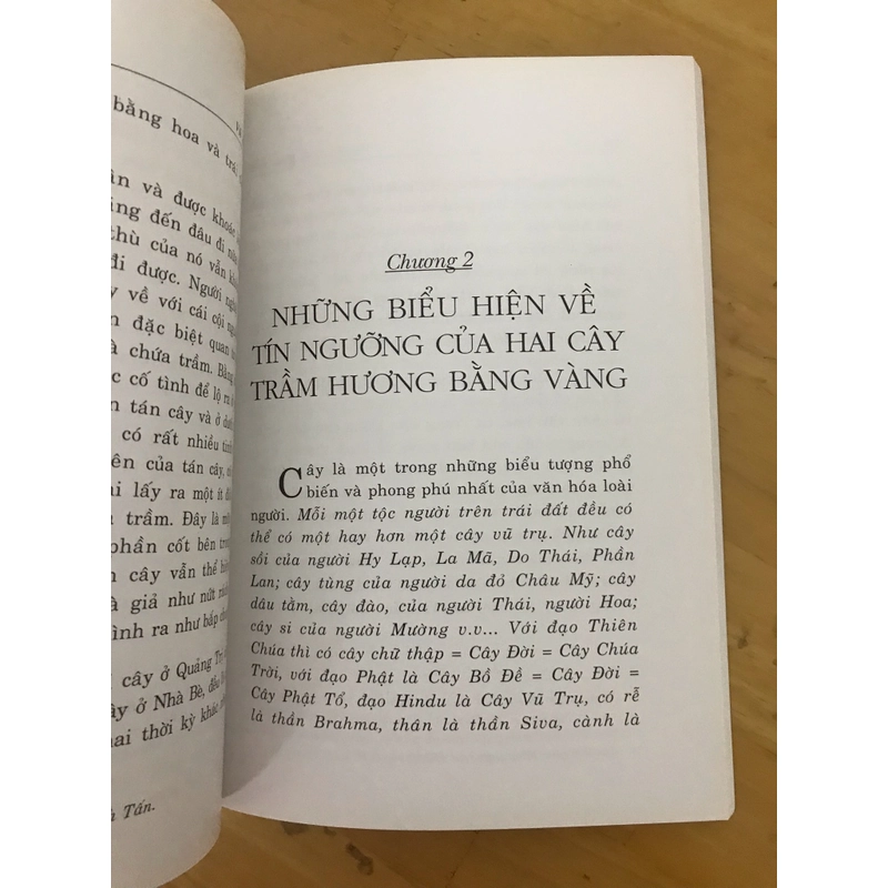 Cổ vật huyền bí 442603