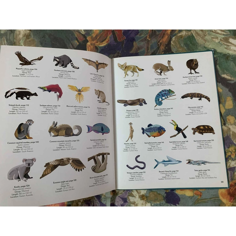 An Anthology of Intriguing Animals 538463