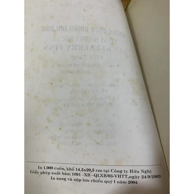 Những cuộc phiêu lưu của Tom Sawyer Và Huckleberry Finn 926404