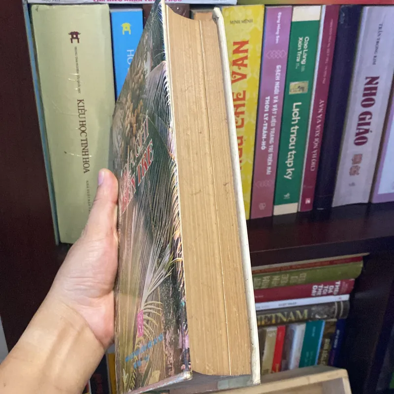 ĐỊA CHÍ BẾN TRE, Bản bìa cứng (xb 1991) 1032160