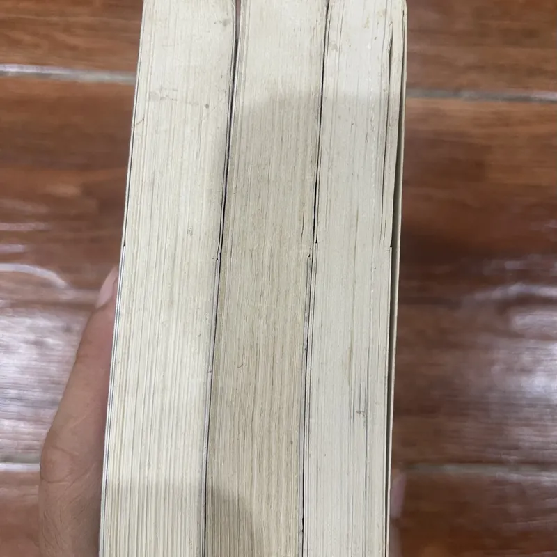 CẬU BÉ TRỘM MA THUẬT bộ 3 tập - SARAH PRINEAS (4) 596458