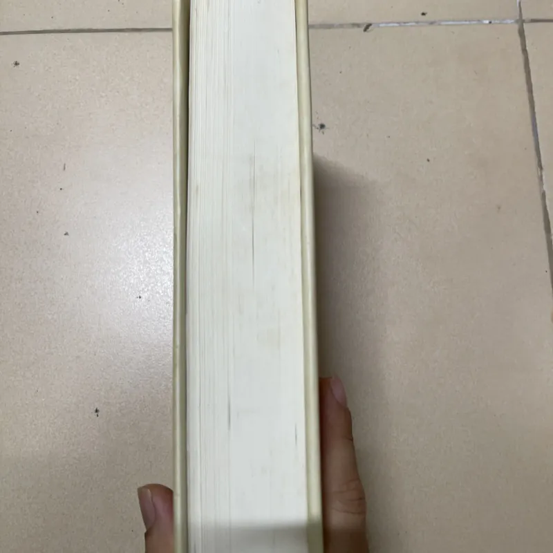 Lịch Sử Do Thái - Paul Johnson  1022035