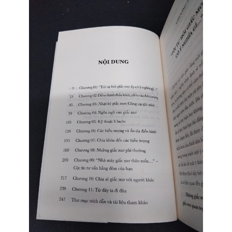 5 bước giải mã giấc mơ mới 80% bẩn ố nhẹ 2018 HCM2809 Holloway, PhD KỸ NĂNG 917265