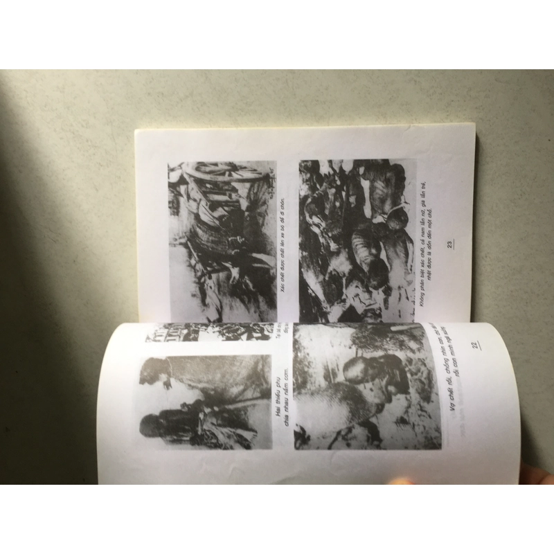 Nỗi Đau lịch sử - Nạn đói 1945 521769