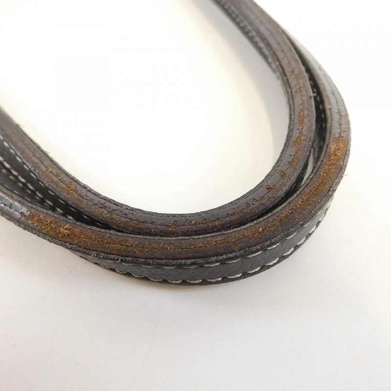 Túi Goyard Saint Louis PM AMA LOUIS PM 609812