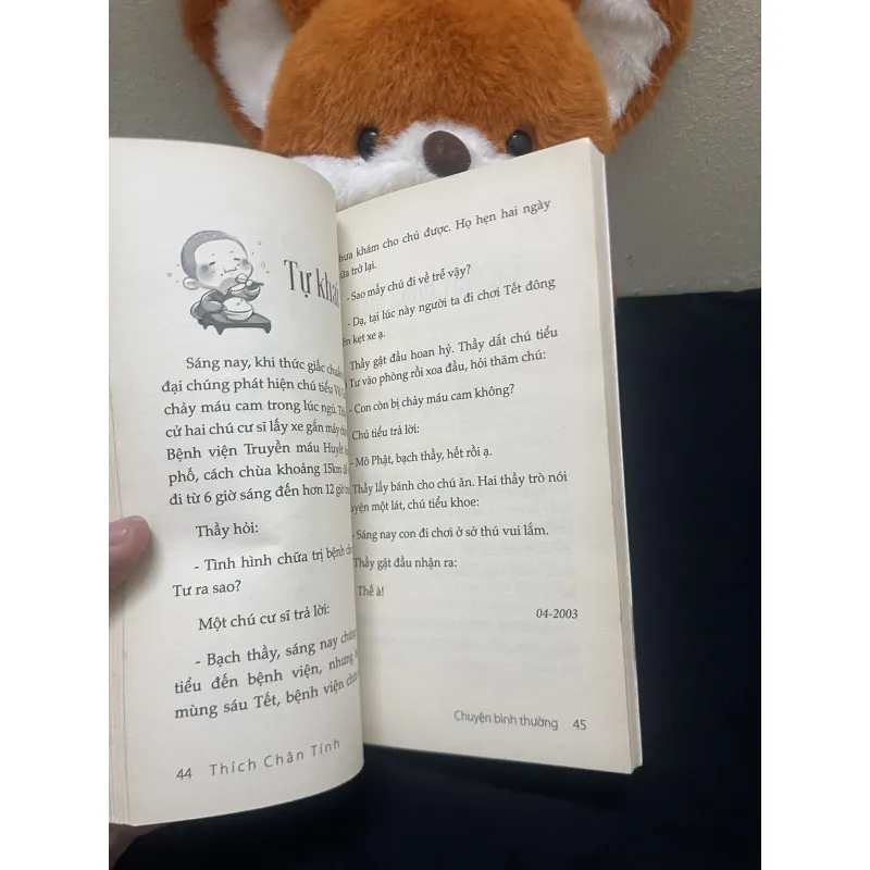 Chuyện Bình Thường-Thích Chân Tính 1003741