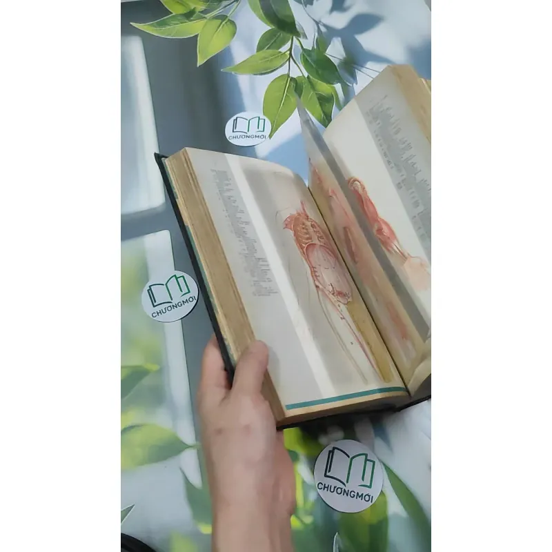 [MIỄN PHÍ BỌC SÁCH] Encyclopedia Americana 30 - Scholastic 750842