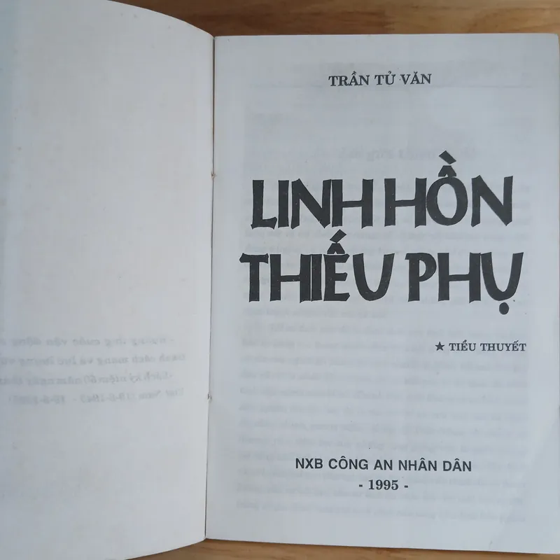 Tiểu Thuyết Linh Hồn Thiếu Phụ - Trần Tử Văn 603831