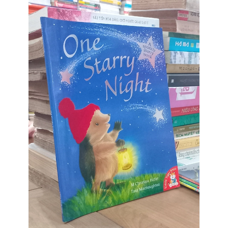 One Starry Night - M. Christina Butler, Tina Macnaughton - Little Tiger Press 994560