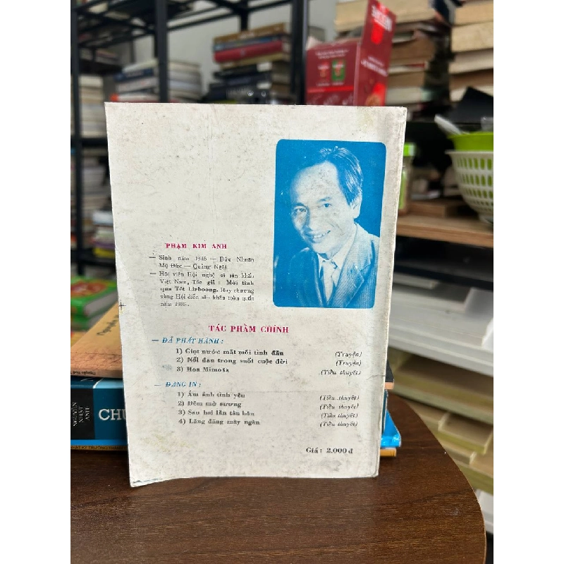 Ám Ảnh Một Tình Yêu - Phạm Kim Anh 934370