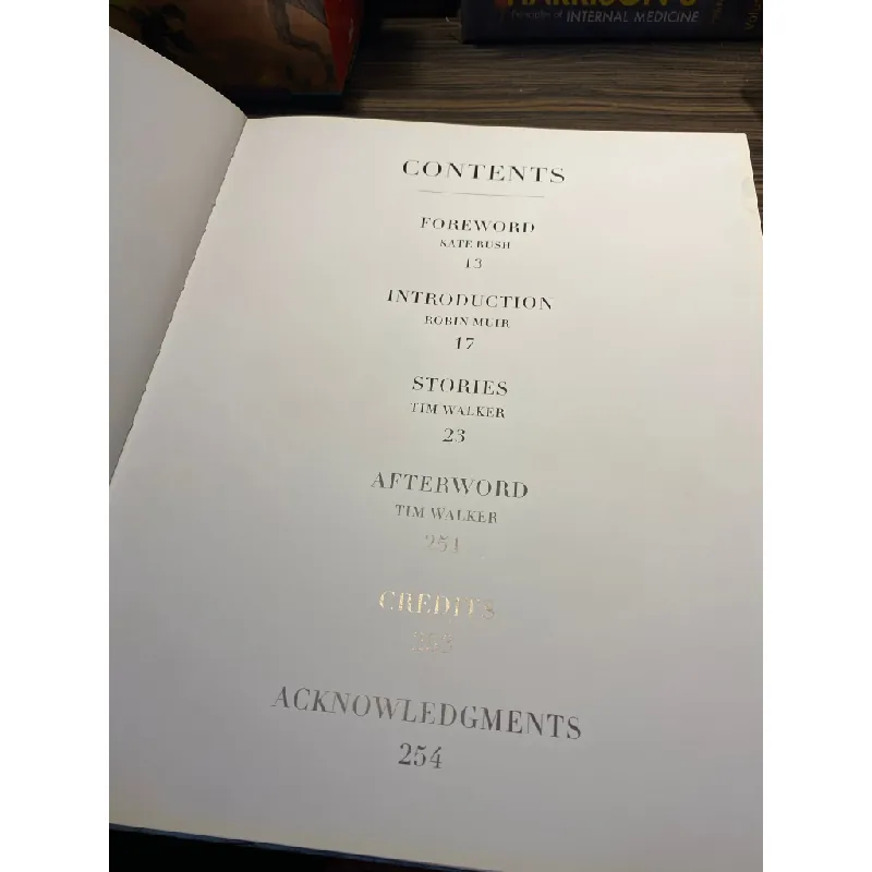 Story Teller - Tim Walker 726770