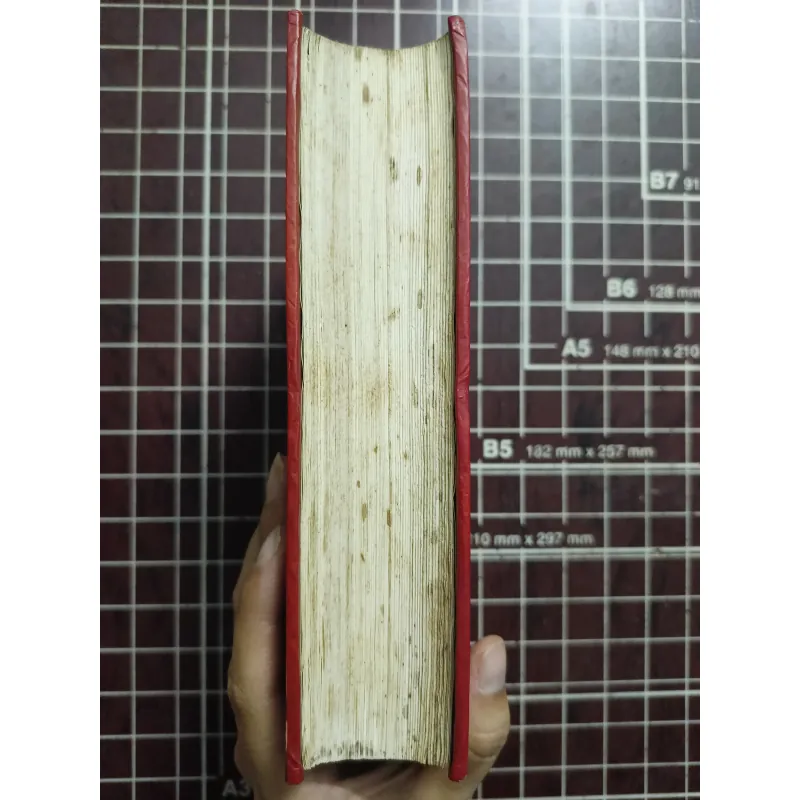 Điện Biên Phủ một góc địa ngục - Bernard B. Fall 731161