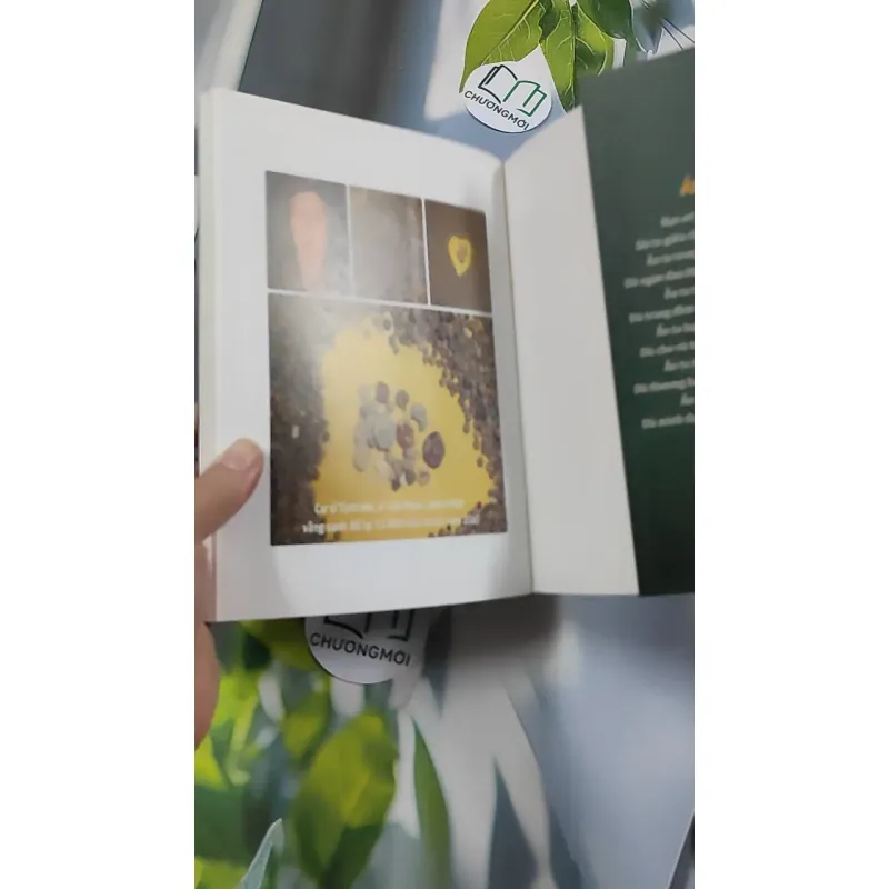 Việc Lớn Nhất Đời Người - Cư Sĩ Diệu Âm Diệu Ngộ 776134