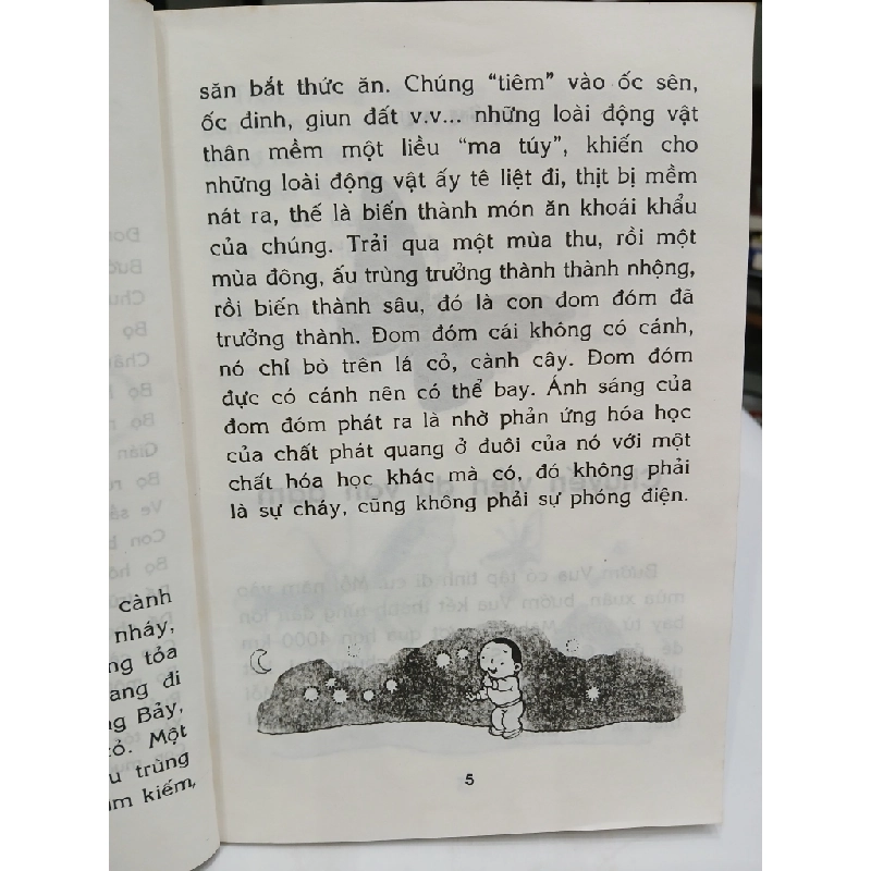 Côn Trùng – Chuyện Kể Khoa Học Cho Học Sinh Tiểu Học 549654