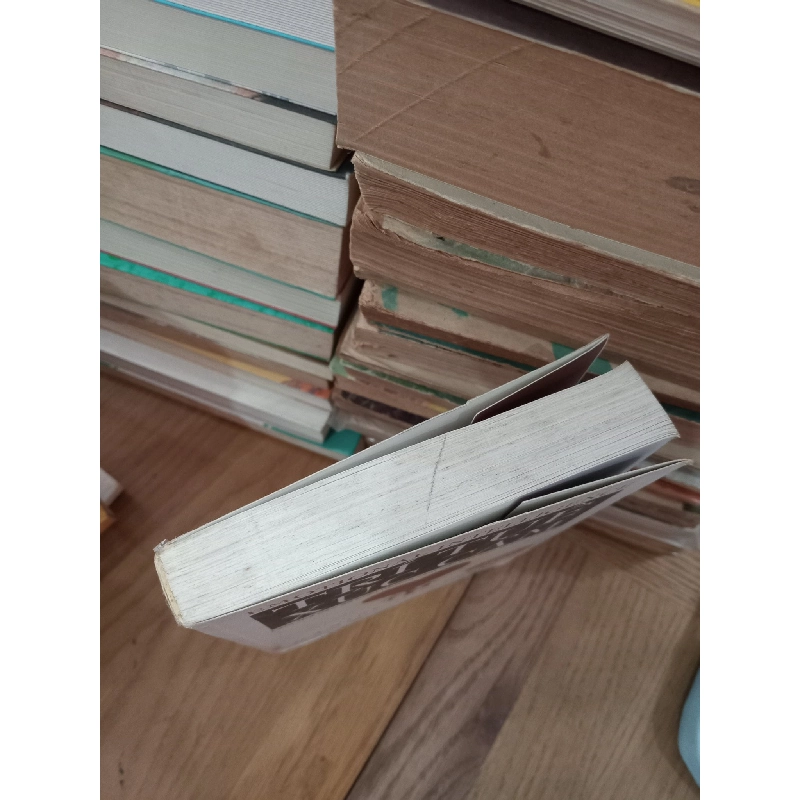 Trí tuệ xúc cảm - Daniel Goleman 256673