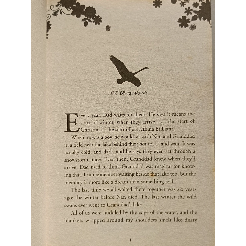 Flyaway - Lucy Christopher 456064
