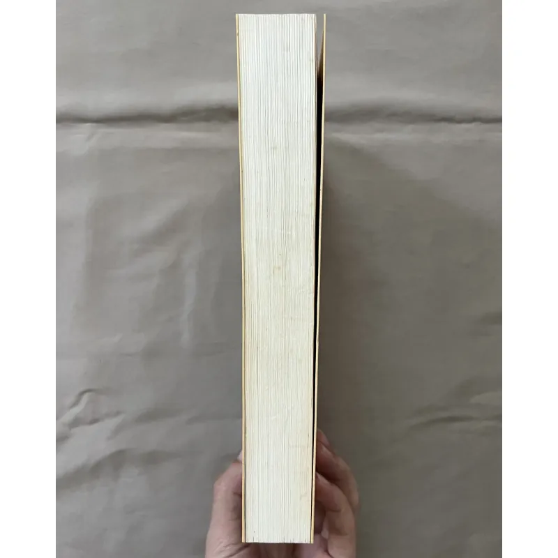 Đỉnh Gió Hú - Emily Bronte 1031013