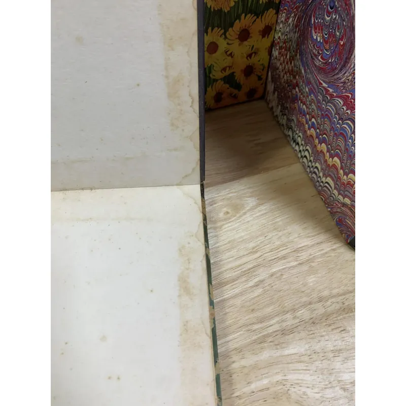 Những Cuộc Phiêu Lưu Của Xê-Muy-En Pinh 760483