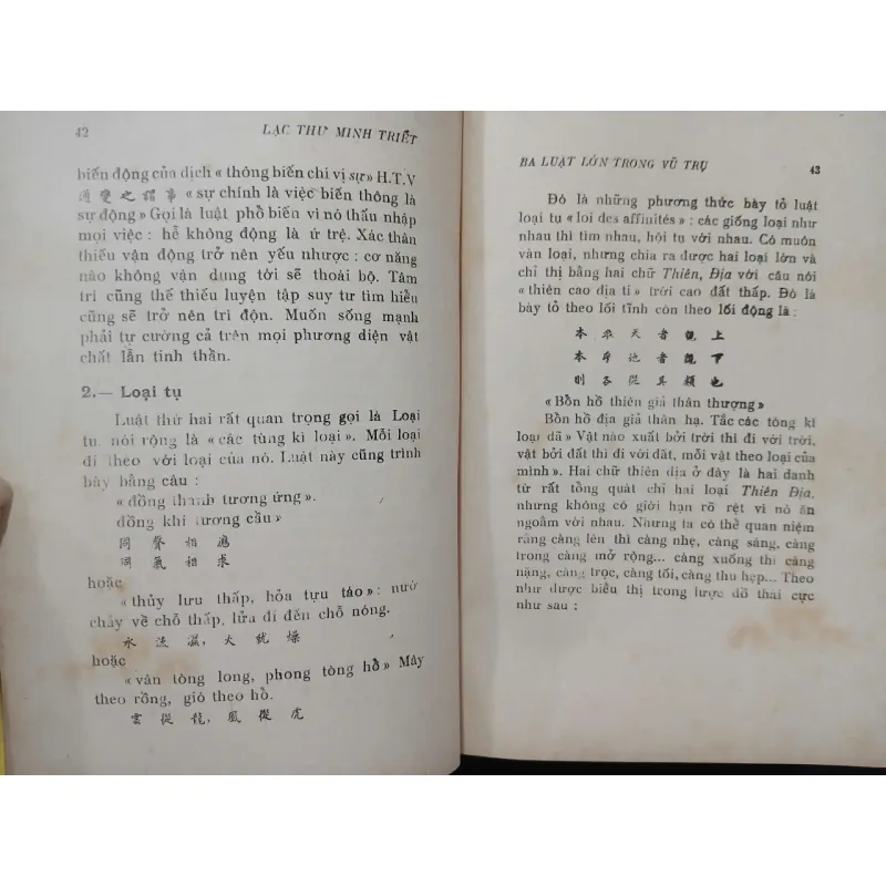 LẠC THƯ MINH TRIẾT - KIM ĐỊNH 707842